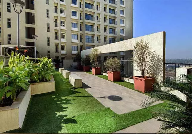 Gallery Images